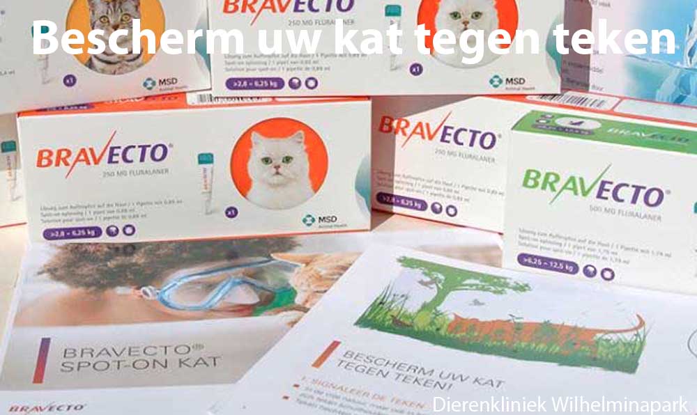 Barvecto voor de kat: een nieuw teken bestrijdingsmiddel voor katten, deze werkt 3 maanden!